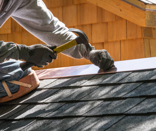 Best Roof Gutter Cleaning  in Akron, NY